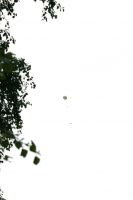 Wetterballon_18